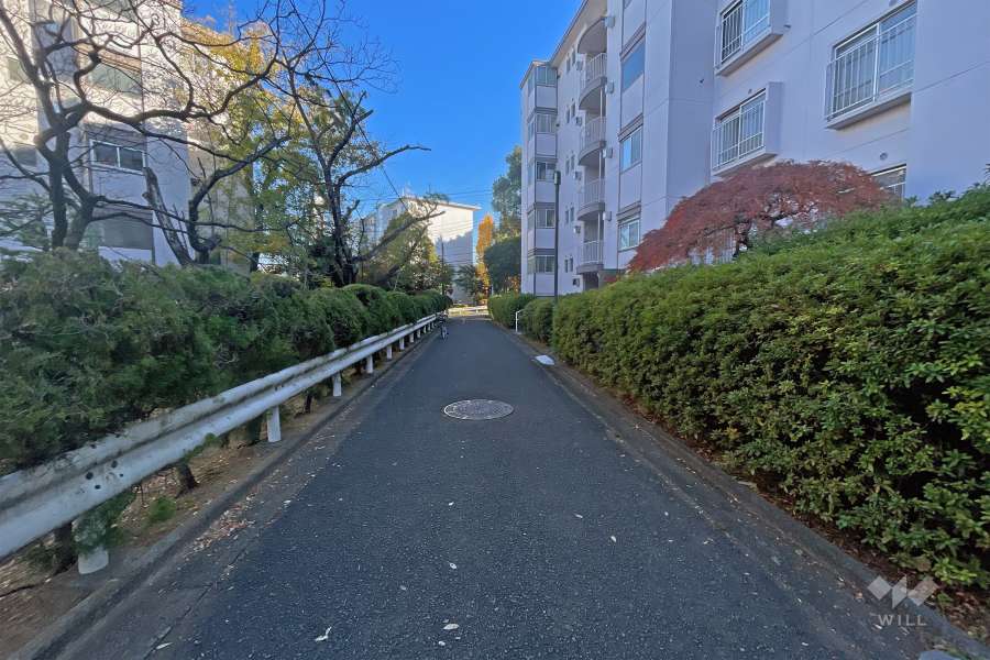 敷地の北東側道路（北西側から）