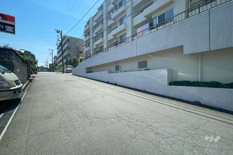 敷地東側の前面道路（北側から）