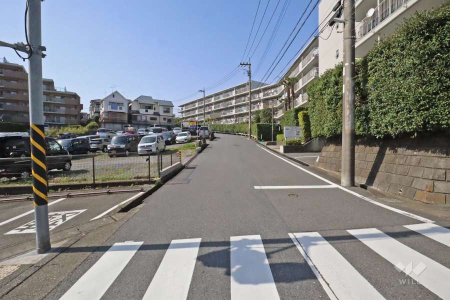 敷地南西側の前面道路(南東側から)