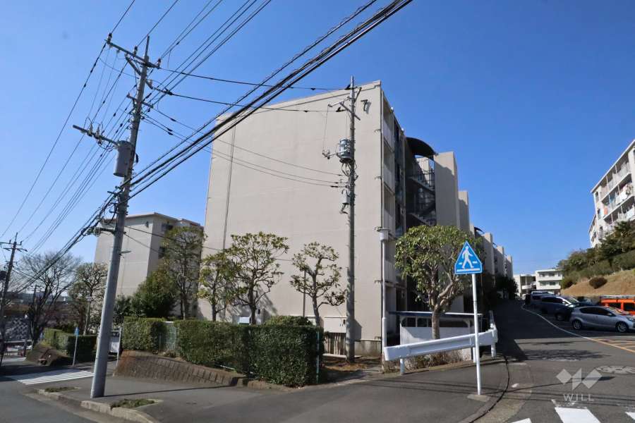 向ヶ丘遊園センチュリータウン７号棟の外観(北東側から)