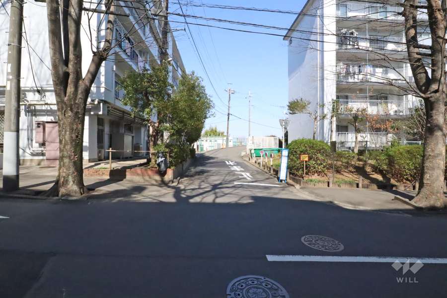 敷地西側の前面道路(南側から)