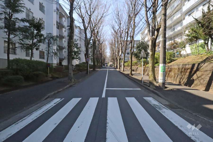 敷地南側の前面道路(東側から)