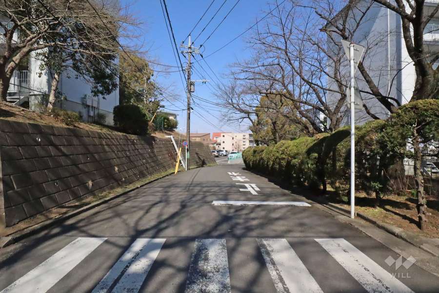 敷地東側の前面道路(南側から)