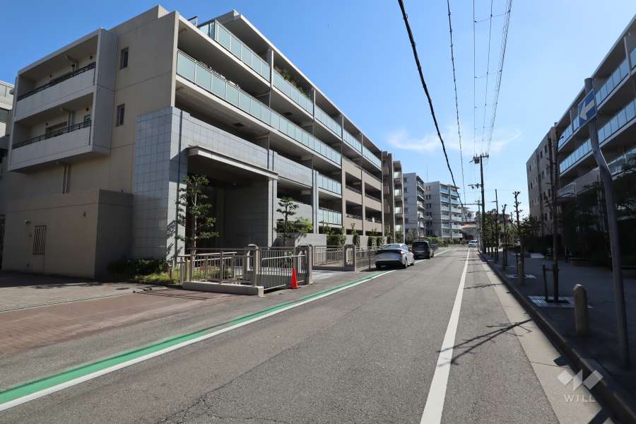 敷地西側の前面道路