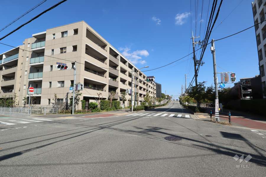 敷地南側の前面道路