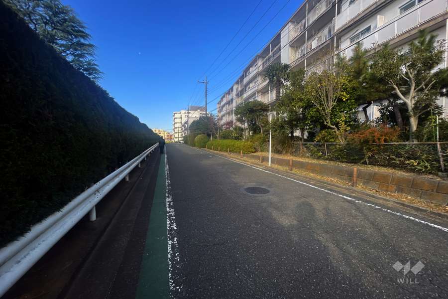 敷地の北側前面道路（西側から）