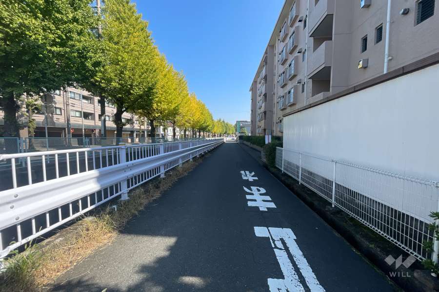 敷地北側の前面道路