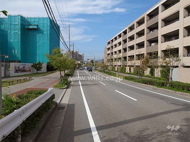 敷地の南側の通り。