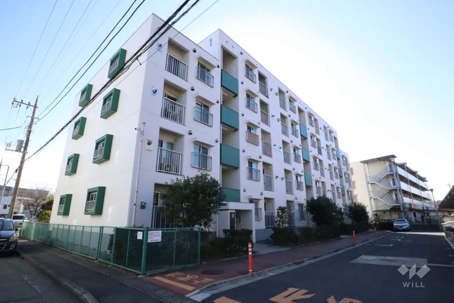 野川住宅の外観（北東側から）