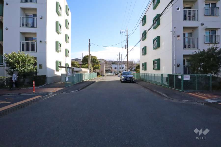 敷地東側の前面道路（北側から）