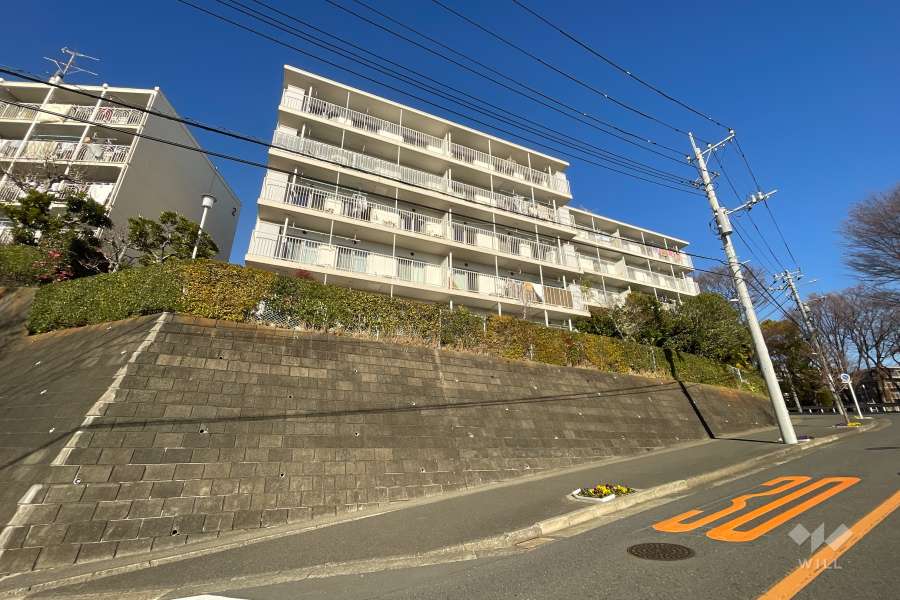 向ヶ丘遊園センチュリータウン3号棟の外観（南側から）