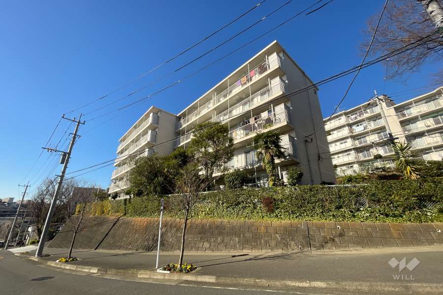 向ヶ丘遊園センチュリータウン3号棟の外観（南東側から）