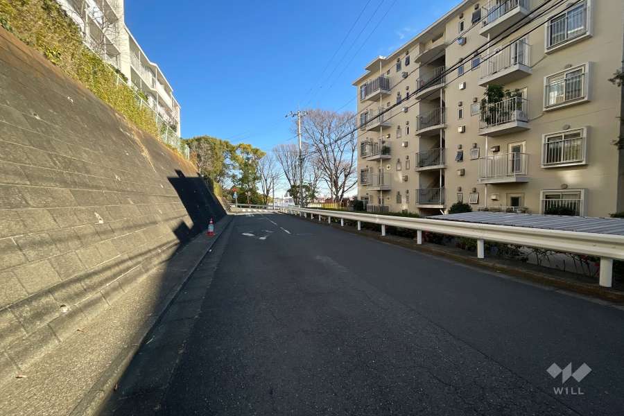 敷地の北側前面道路（西側から）