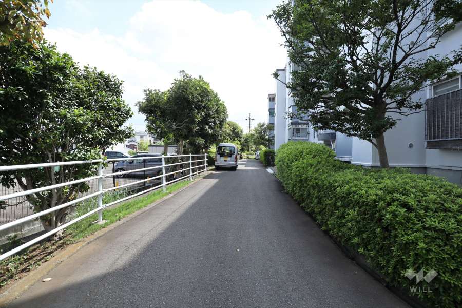 敷地北東側の前面道路