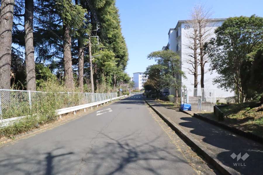 敷地北側の前面道路(西側から)