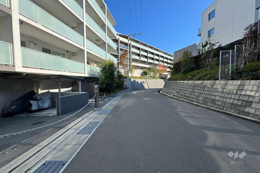 敷地の南側前面道路（西側から）