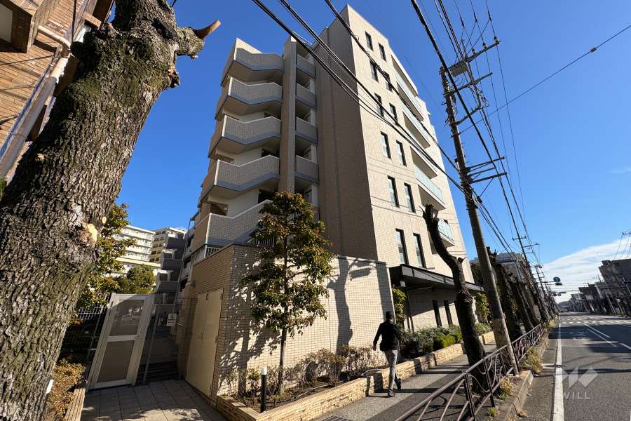 サンクレイドル宮前平の外観（南西側から）