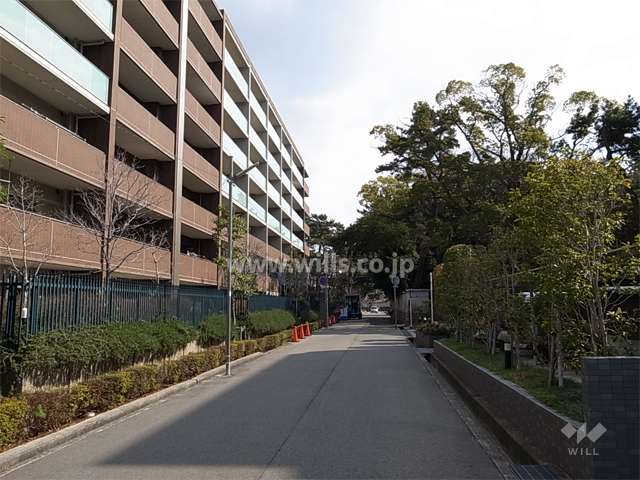 敷地南側の前面道路