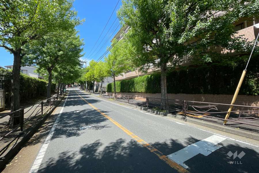 敷地の南側全面道路（東側から）