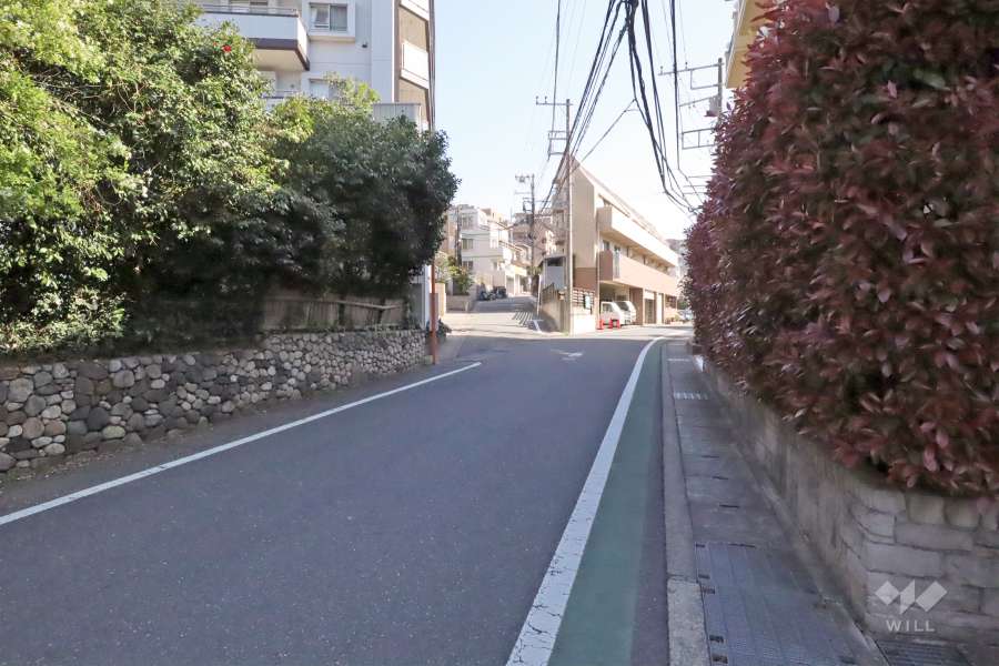 敷地西側の前面道路(北側から)