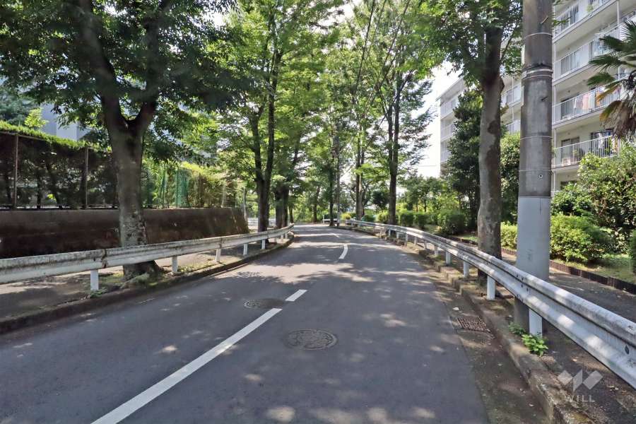 敷地南側の前面道路はけやき通りです(東側から)。
