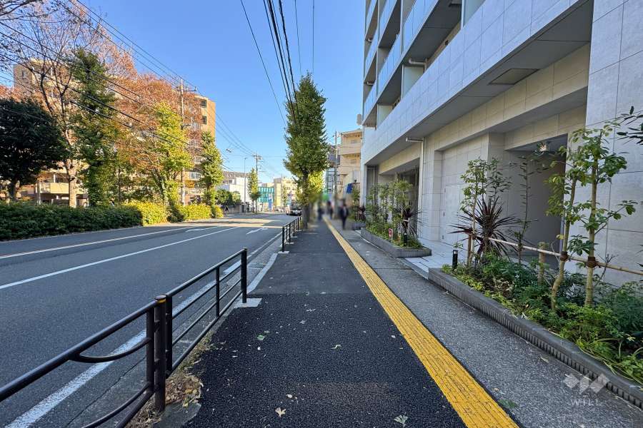 敷地北側の前面道路