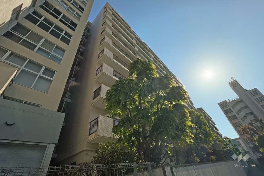 ヴェルビュ溝の口の外観（南西側から）