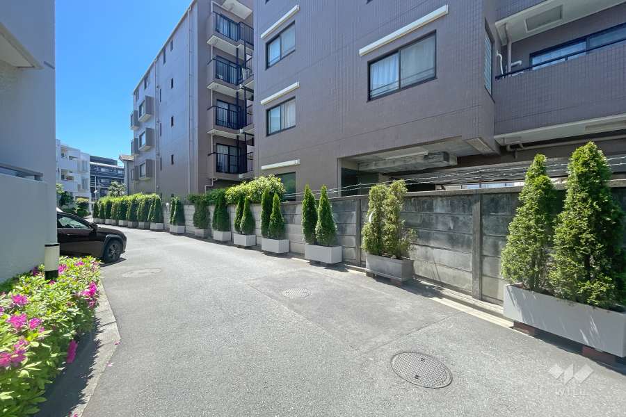 敷地東側の前面道路（北側から）