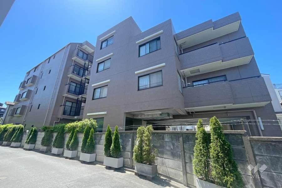 モルフェクレール梶が谷の外観（北東側から）