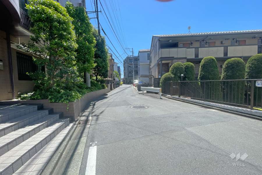 敷地西側の前面道路（北側から）