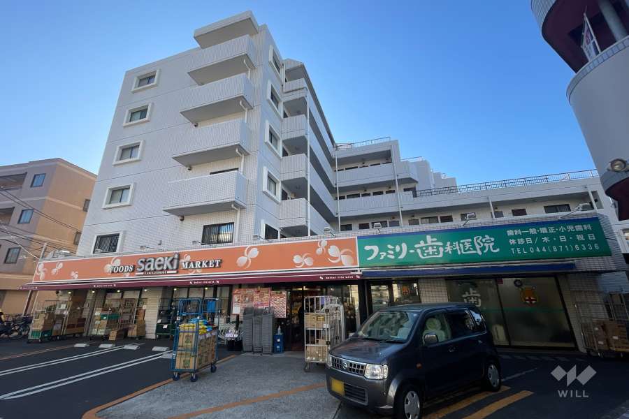 パラスト溝の口の外観（東北側から）