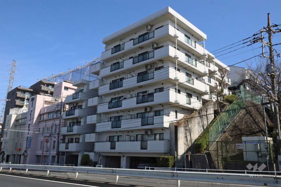 アクトパレス梶ケ谷の外観(南西側から)