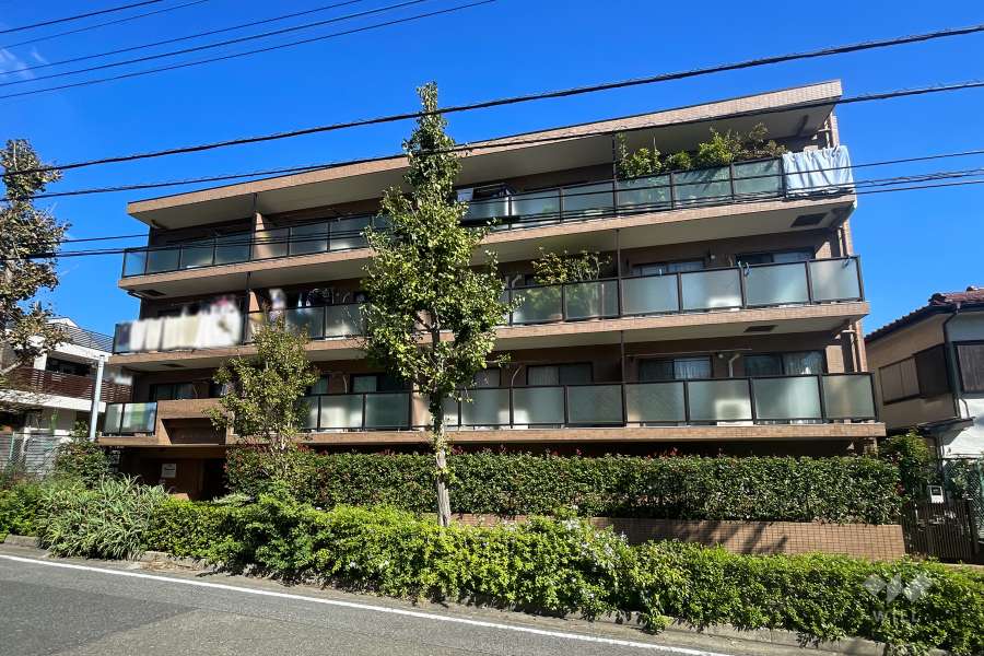 マイキャッスル梶ケ谷3の外観（南東側から）