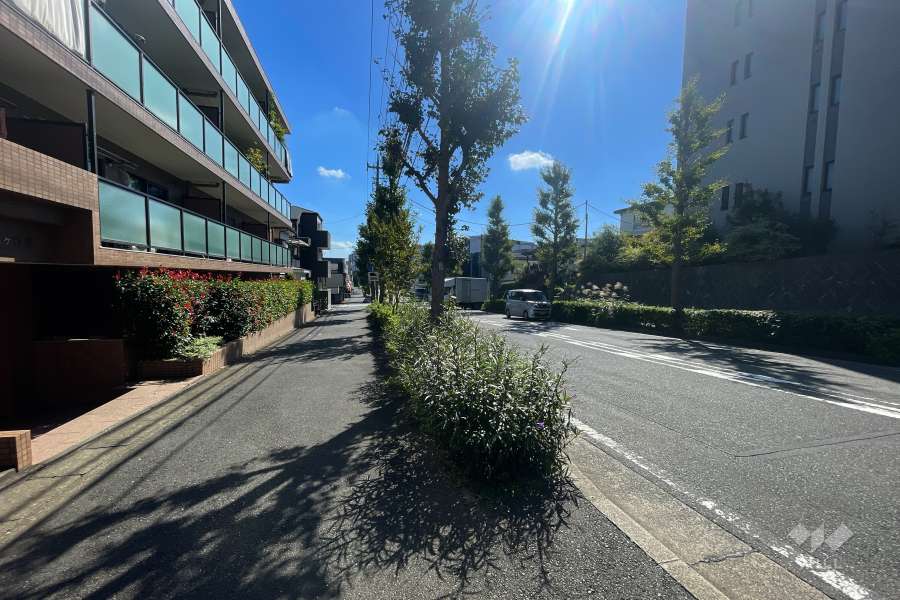 敷地南西側の前面道路（北西側から）