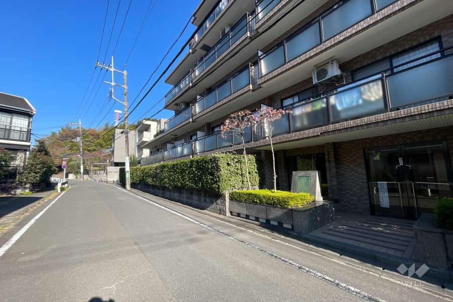 敷地南西側の前面道路（南東側から）