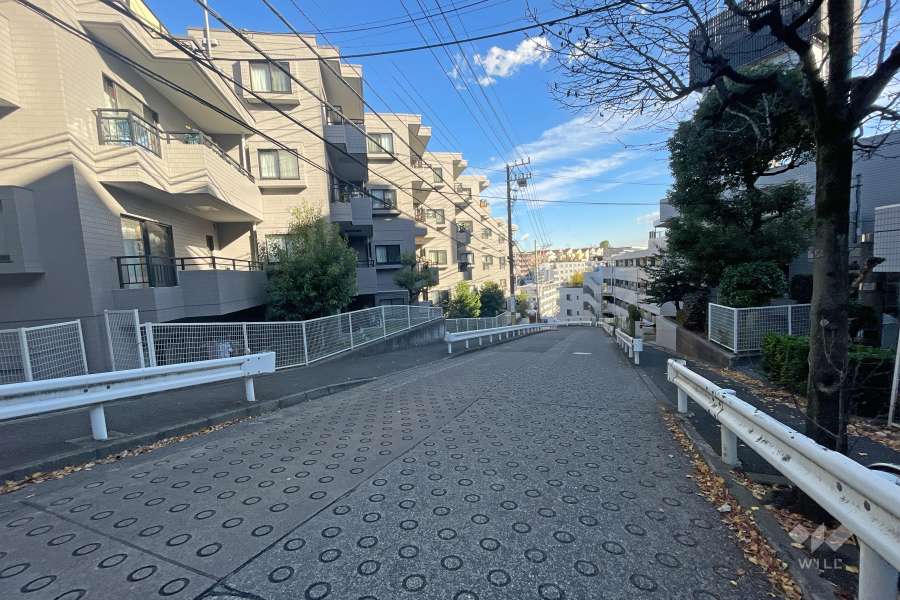 敷地南側の前面道路（西側から）