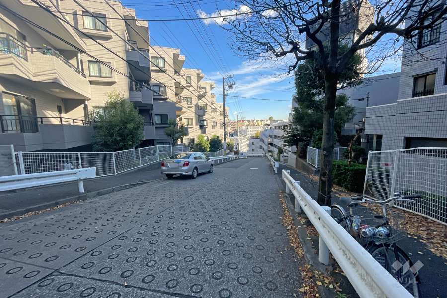 敷地南側の前面道路（西側から）