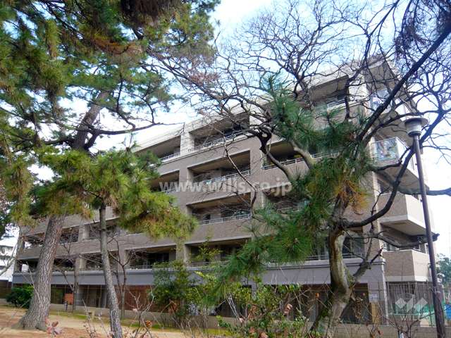 ネバーランド香櫨園 夙川パークサイドの外観（南西側から）