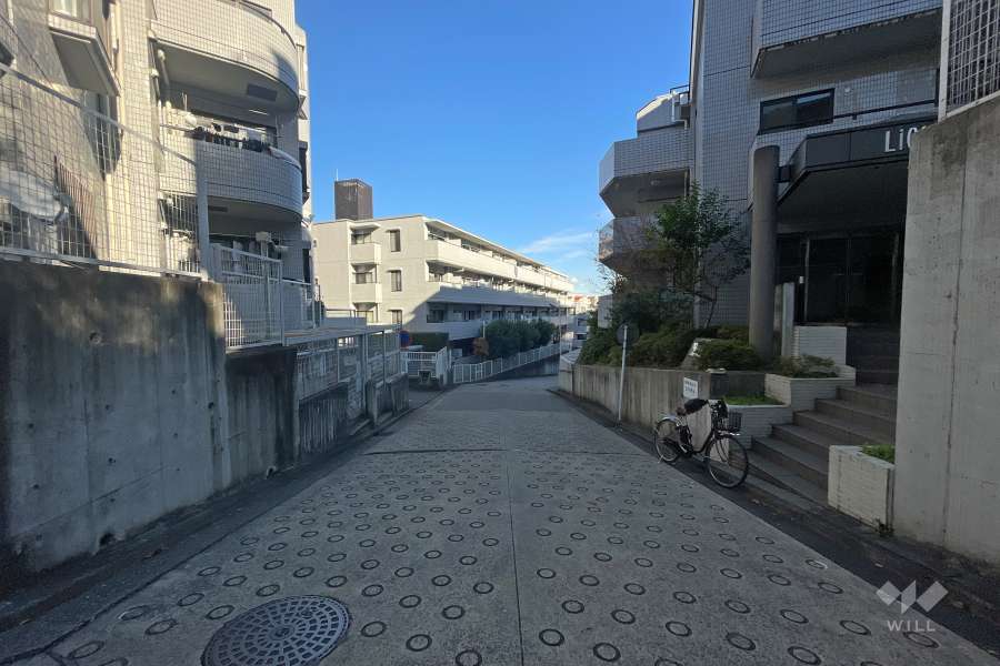 敷地南側の前面道路（西側から）