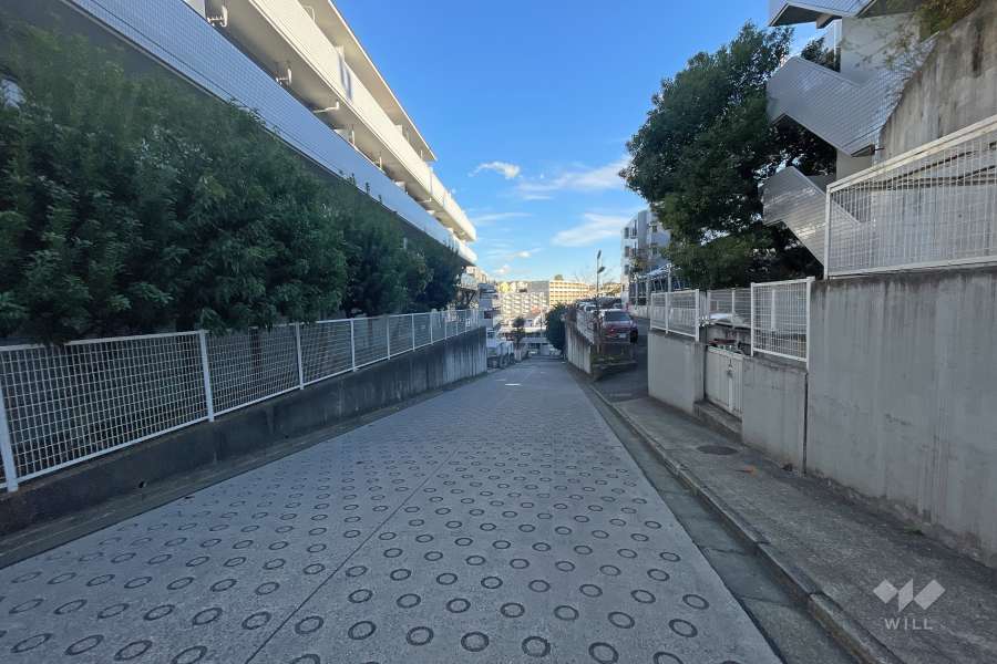 敷地南側の前面道路（西側から）