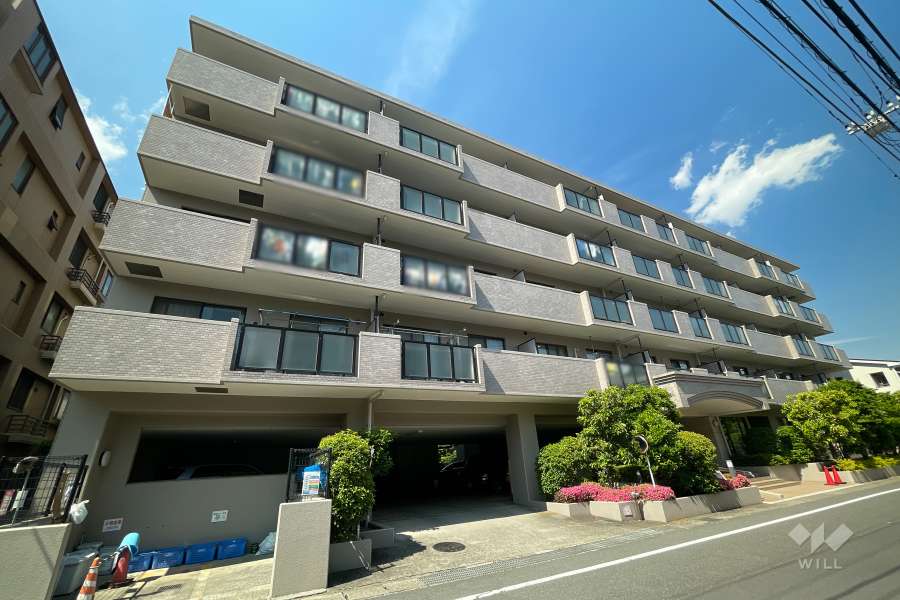 ロイヤルシャトー武蔵新城の外観（南西側から）