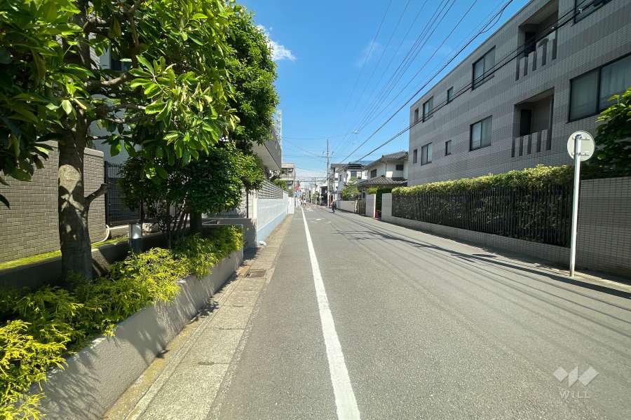 敷地南側の前面道路