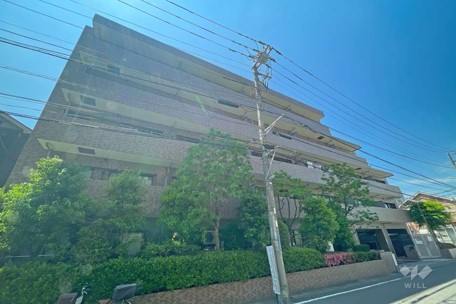 クレッセント溝の口南の外観（南東側から）