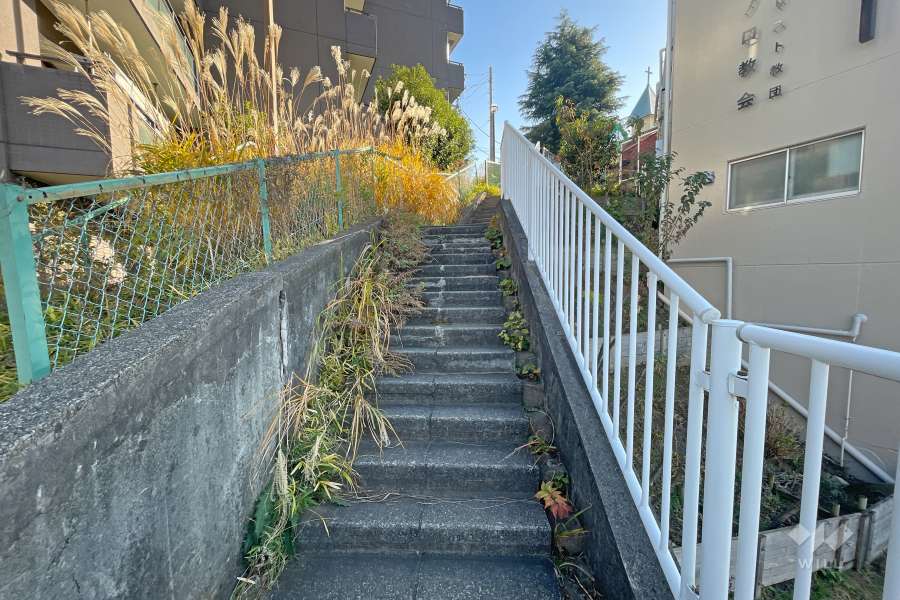 敷地南西側の前面道路（北西側から）