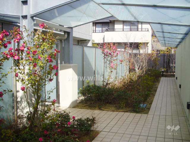 きれいに手入れされた植栽