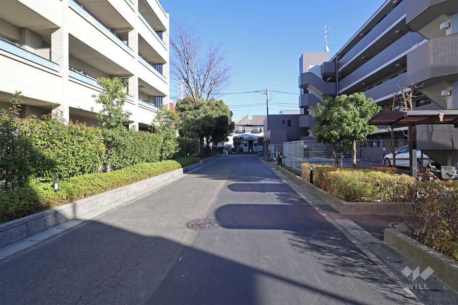 敷地北側の前面道路（西側から）