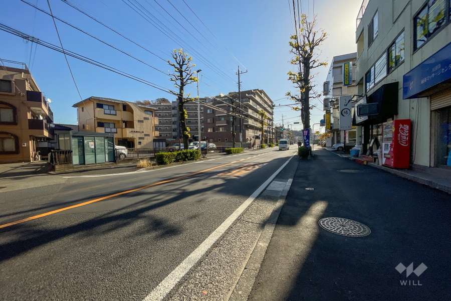 敷地の南側前面道路（西側から）