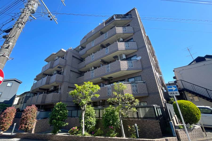 ライオンズマンション多摩川溝の口の外観（南側から）