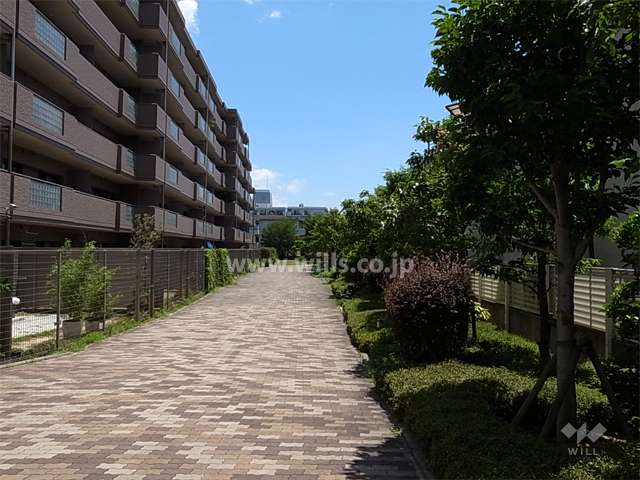 敷地南側には通路と緑地が設けられています。