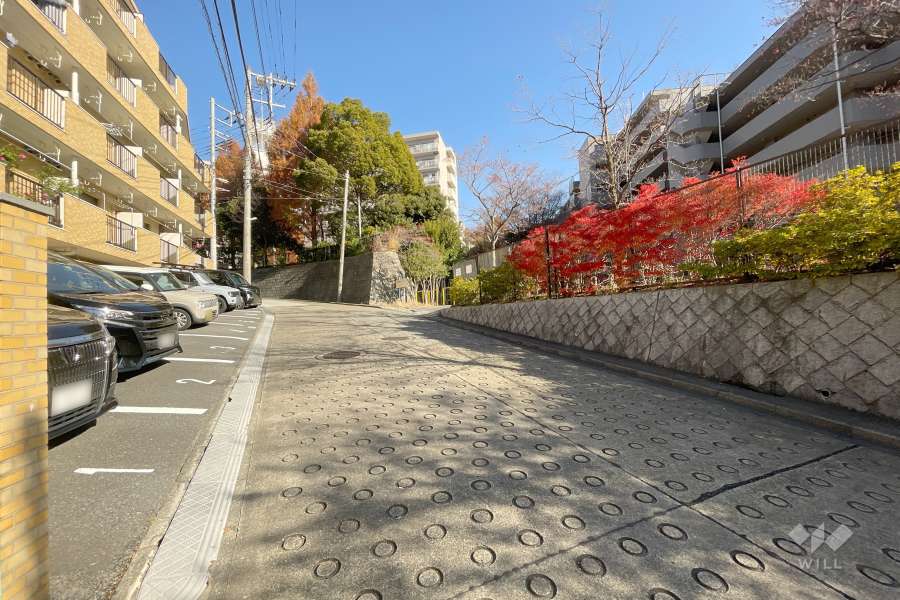 敷地北西側の前面道路（南西側から）